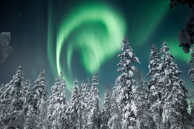 Snowmobile Safari to Search for the Northern Lights - Value for money: what you’re really paying for at about $203