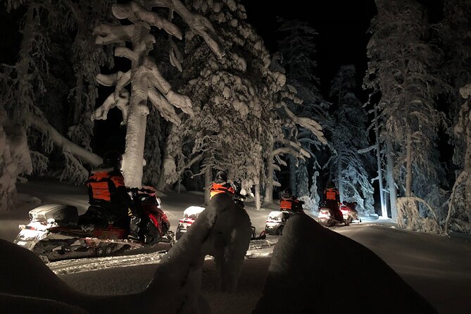 Snowmobile Safari to Search for the Northern Lights - Snowmobile riding setup: two seats, one chase, and a possible bumpy ride