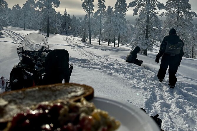 Snowmobile Safari to the Wilderness - Key Points Before You Hit the Snow