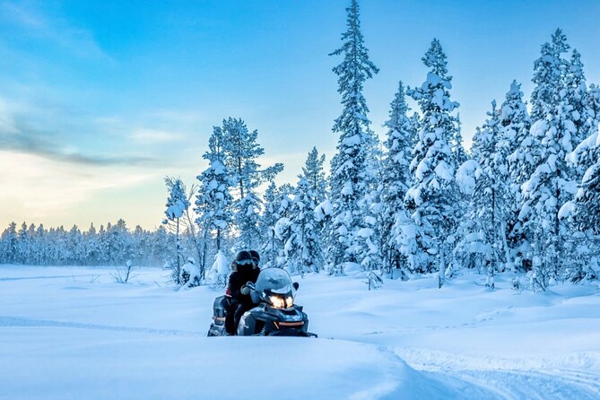 Snowmobile Tour with Small Group in Remote Wilderness 3 Hours - Key highlights worth knowing