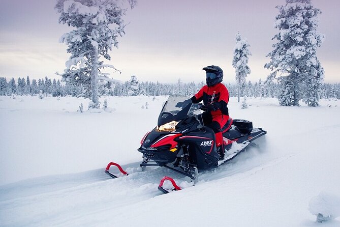 Snowmobile Tour with Small Group in Remote Wilderness 3 Hours - Rovaniemi timing and meet point, so you are not rushing