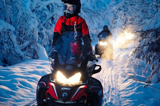 Snowmobile Tour with Small Group in Remote Wilderness 3 Hours - Families and kids: how the tour handles small riders