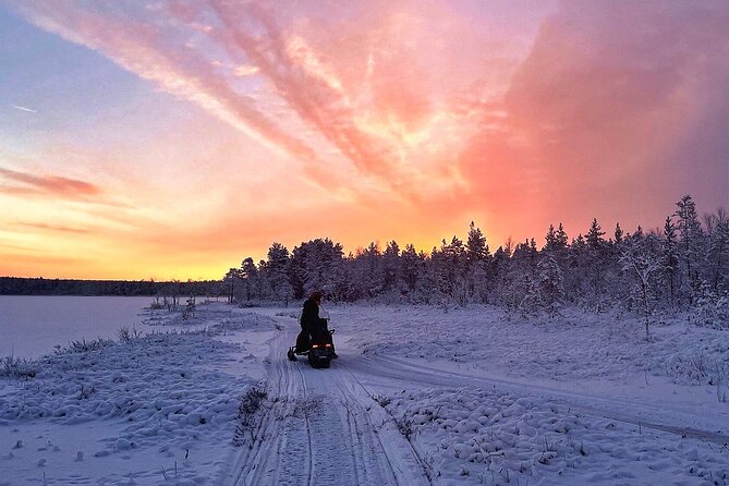 Snowmobile Tour with Small Group in Remote Wilderness 3 Hours - Price and value: what you’re really paying for