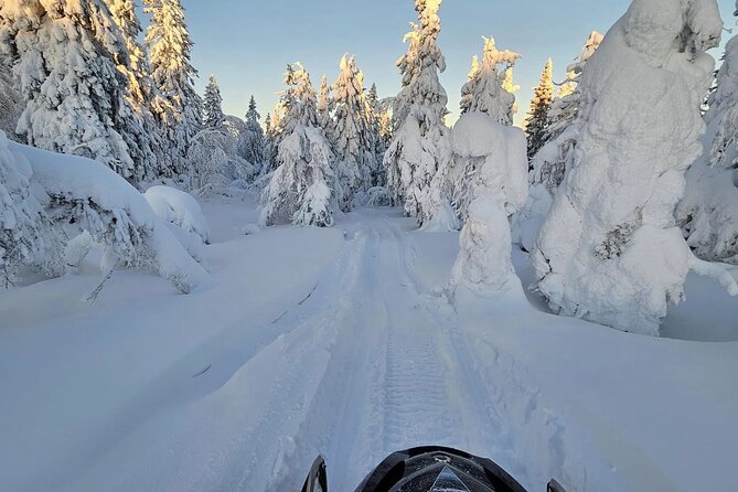 Snowmobile Tour with Small Group in Remote Wilderness 3 Hours - Who this tour is best for, and who should think twice