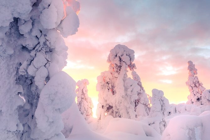 Snowmobile Tours in Rovaniemi Lapland - Quick hits before you book