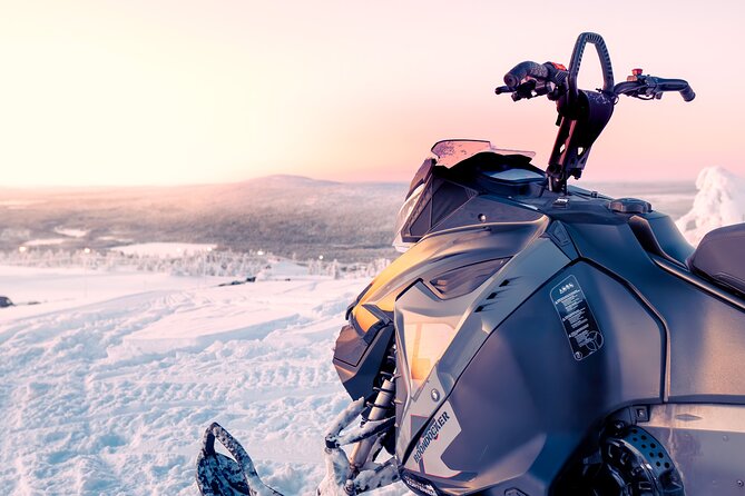 Snowmobile Tours in Rovaniemi Lapland - Price and value: is $100.92 per person a good deal?