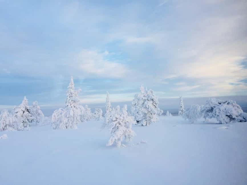 Snowshoe experience with traditional beverages in Lapland - Snowshoeing in Lapland, taught simply, enjoyed fully