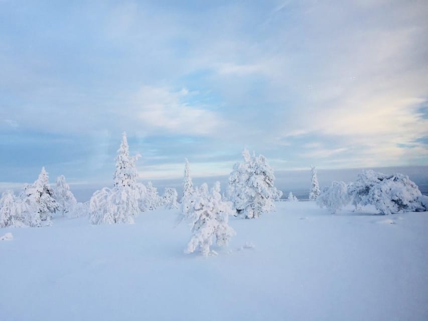 Snowshoe experience with traditional beverages in Lapland - Price and timing: is $91 per person worth it?