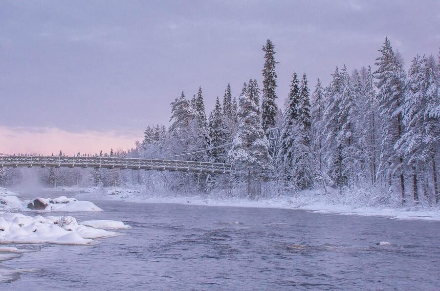 Snowshoe experience with traditional beverages in Lapland - What to bring, and how to dress for Lapland snow