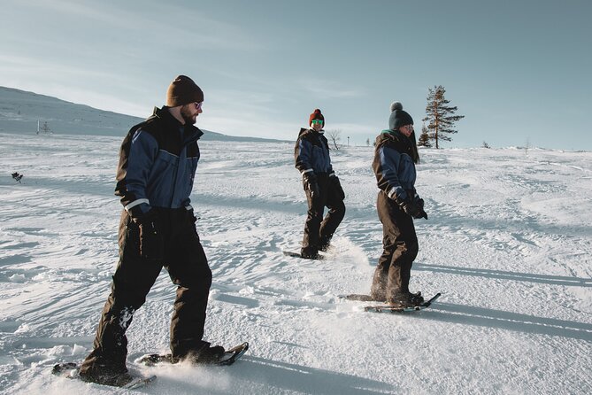 Snowshoe Fun - The Forest Walk Part: Calm Scenery and Real Learning