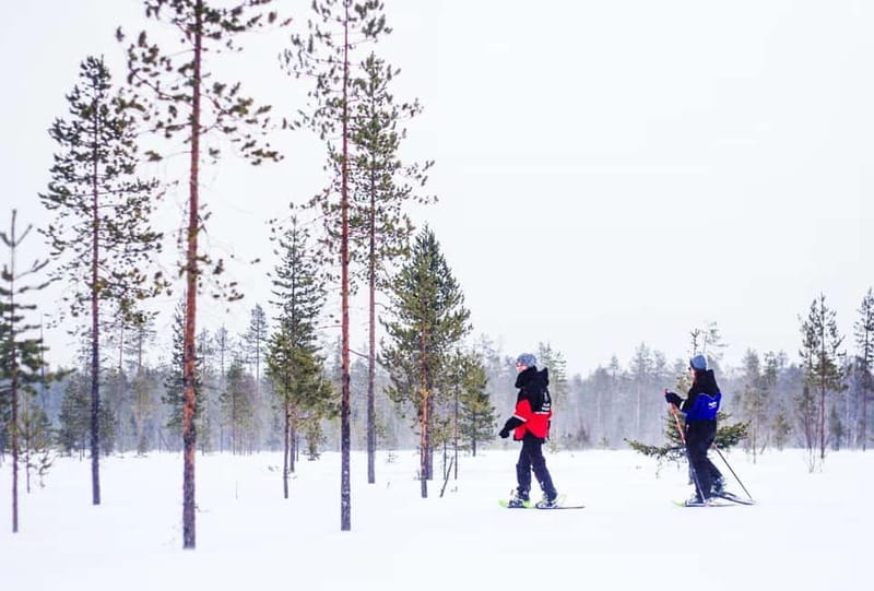 Snowshoe Trip for Ice Fishing in Saariselka - Snowshoeing into Lappish quiet, and why learning matters