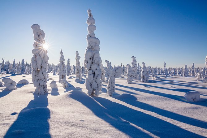 Snowshoe Trip in the Forest - Snowshoes, gear, and how the easy rating plays out