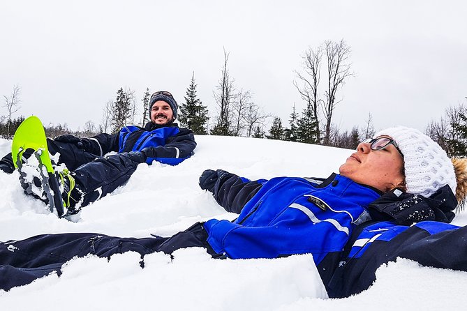 Snowshoe Trip in the Forest - What your guide actually does on the trail
