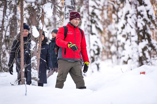 Snowshoe Trip in the Wilderness - Walking Like You Belong In The Arctic Forest