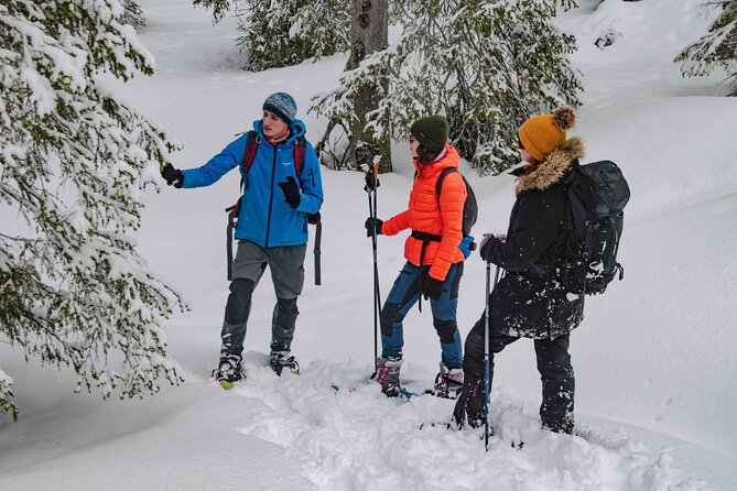 Snowshoeing Adventure with Ice-Fishing, Fire and Survival - Small Group Format, Guide Energy, and Family-Friendly Realism