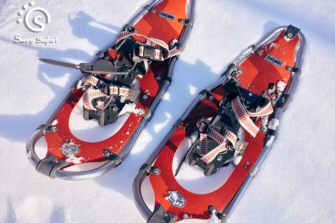 Snowshoeing in Lapland Wilderness - Learning the Lappish environment from your guide