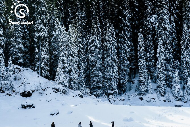 Snowshoeing in Lapland Wilderness - Family-friendly winter: toboggans for kids who are not on snowshoes yet
