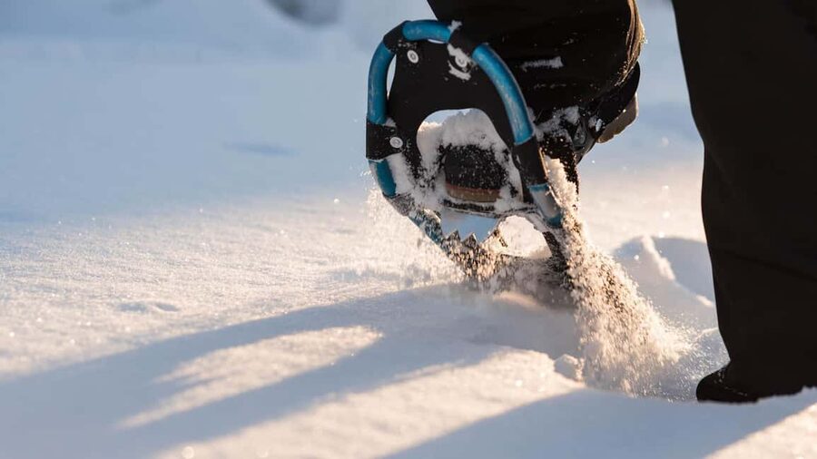 Snowshoeing in the Arctic Wilderness - Lapland Snowshoeing: The Arctic Quiet You Can Actually Hear