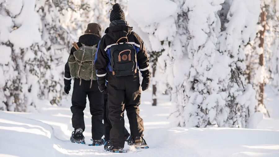 Snowshoeing in the Arctic Wilderness - Guided Snowshoeing: Frozen Waterways, Forest Under Snow, and Real Lapland Pace