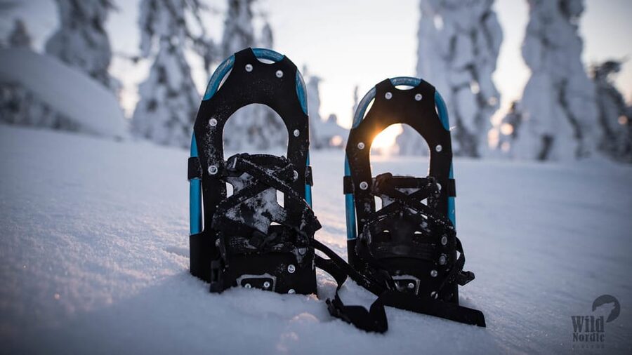 Snowshoeing in the Arctic Wilderness - Campfire Picnic with Reindeer Burgers: Warmth, Stories, and Local Flavor