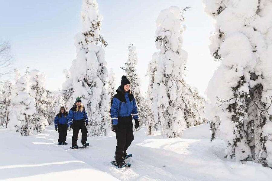 Snowshoeing in the Arctic Wilderness - Pickup in Rovaniemi, Then the Day Unfolds