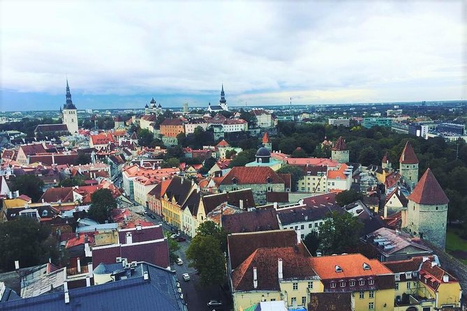 Tallinn Day Cruise from Helsinki - Kadriorg Park: a quick green pause that changes the mood