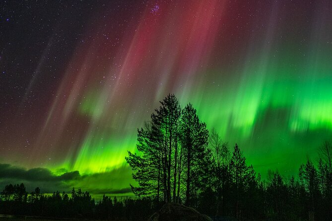 The Ultimate Guaranteed Aurora Hunt - Snacks and hot drinks: the real rhythm of a 10-hour night