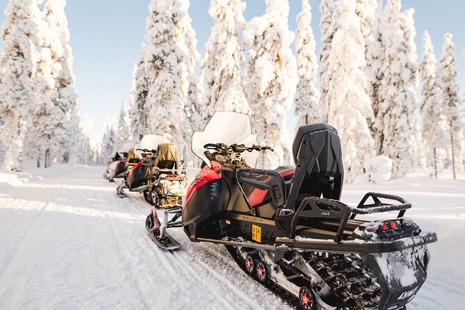 Thrill of Snowmobiling for Adults Only - Price, Duration, and What You Get for About $215