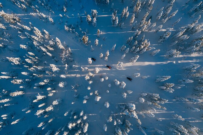 Thrill of Snowmobiling for Adults Only - Who This Tour Suits Best in Lapland