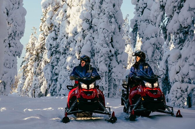 Thrill of Snowmobiling for Adults Only - Meeting Point: The Wild Nordic Safari Center Base