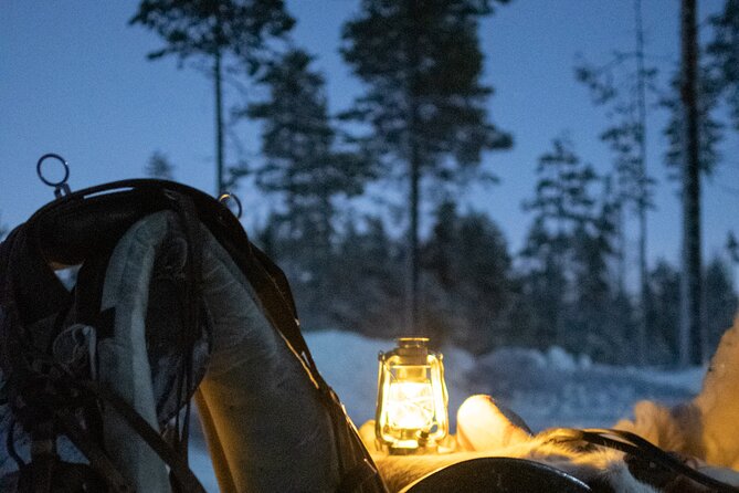 Traditional Finnhorse Sleigh Ride at SCV (3km) - Why a 3 km Finnhorse ride can feel like a getaway