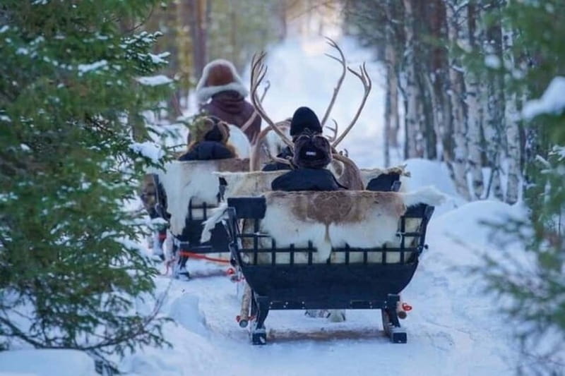 Traditional Reindeer Farm Visit with a Short Sleigh Ride - Gear Drop: Thermal Overalls, Boots, Mittens, and Why It Matters