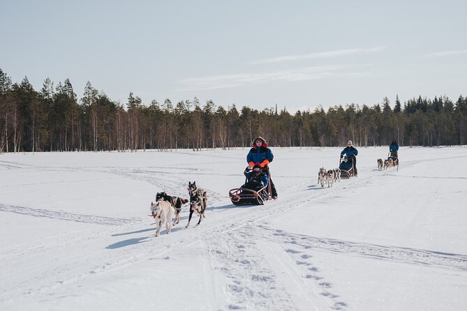 Trail of Tails Step into the Mushing Life in 5KM Husky Safari - Price Check: What $216.27 Gets You in Rovaniemi