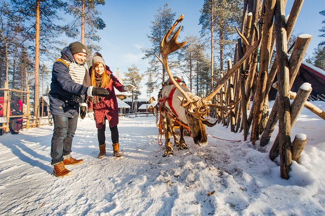 Trip to Arctic Circle, Santa Claus Village and Santas Reindeer - Should You Book This Arctic Circle and Santa Village Tour?