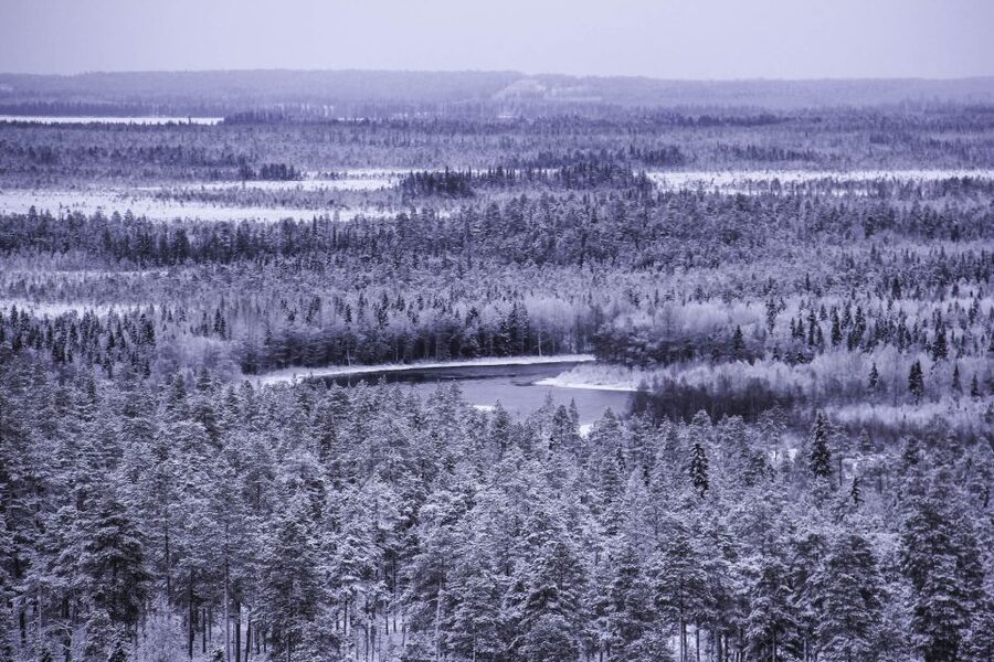 Vikakongas Hike: Nature and Silence - Key things to know before you go