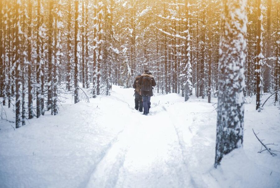 Vikakongas Hike: Nature and Silence - Arctic silence starts before you even lace up