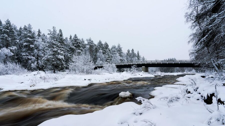 Vikakongas Hike: Nature and Silence - The 2.5-hour timeline, and why it works in winter