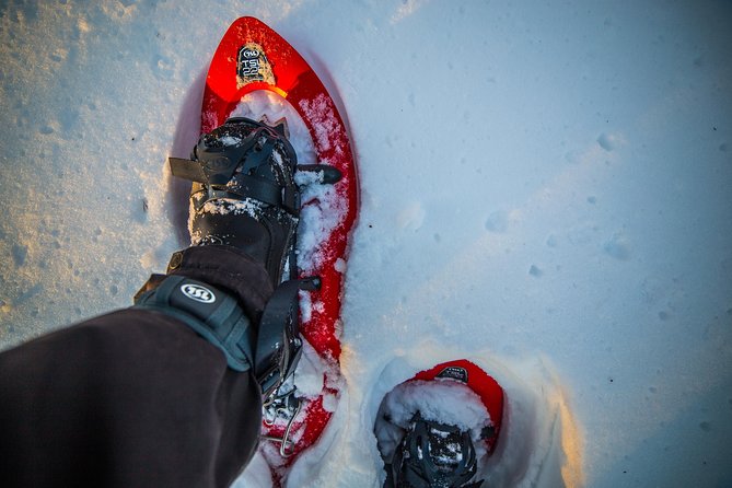 Wilderness snowshoe adventure - Rovaniemi Snowshoeing, The Way It Should Feel