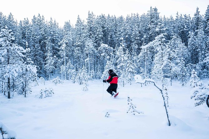 Wilderness snowshoe adventure - Snowshoeing in Deep Snow: What You’re Really Signing Up For