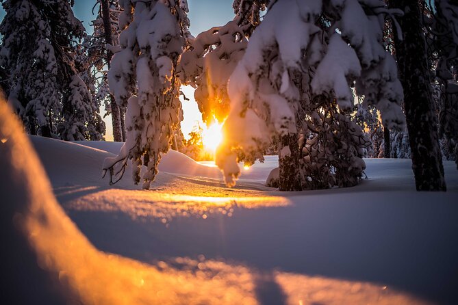 Wilderness snowshoe adventure - Your Photographer Guide: How They Help You Get Better Shots