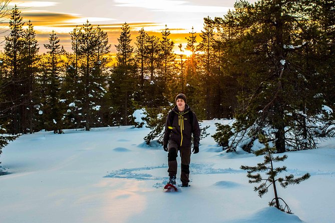 Wilderness snowshoe adventure - What the Tour Timeline Feels Like in Real Life