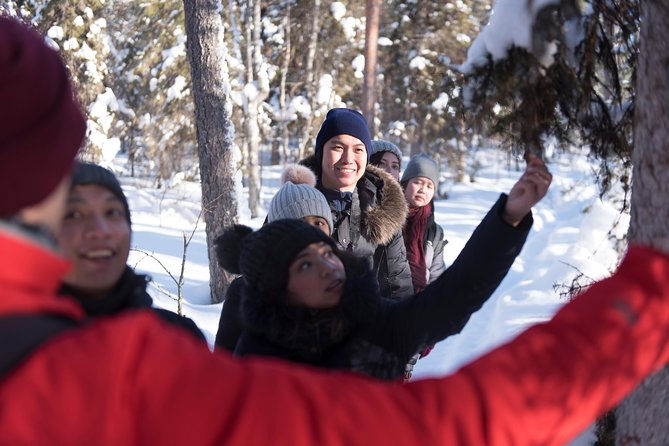 Wilderness Survival Tour - Winter - Winter Survival in Lapland: What This Tour Is Really About