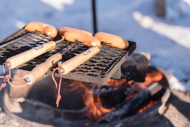 Wilderness Survival Tour - Winter - Price and Value for $106.82: What You’re Paying For