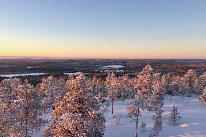 Wilderness Survival Tour - Winter - Stop 1 in Lapland: Taiga Walks, Signs in Snow, and Cold-Walk Timing