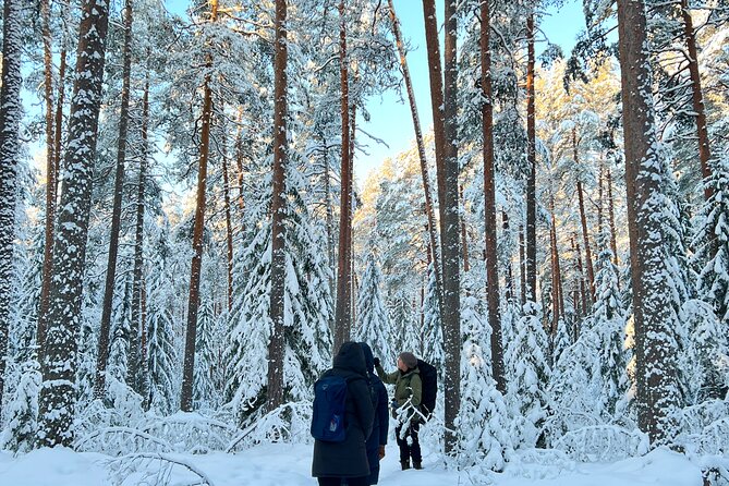 Winter Wonderland Hike in a National Park - Price and value: what $187.06 gets you in real winter comfort