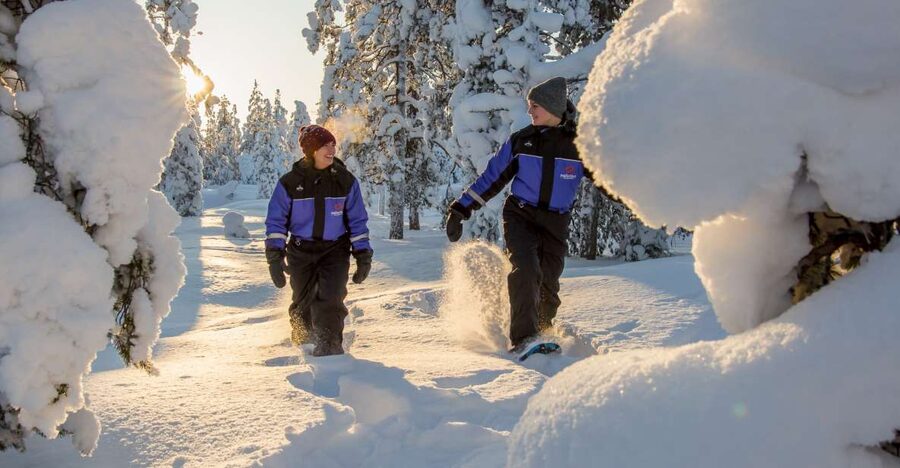 Ylläs: Forest Hike with Snowshoes - Why this Ylläs snowshoe walk feels like real Lapland