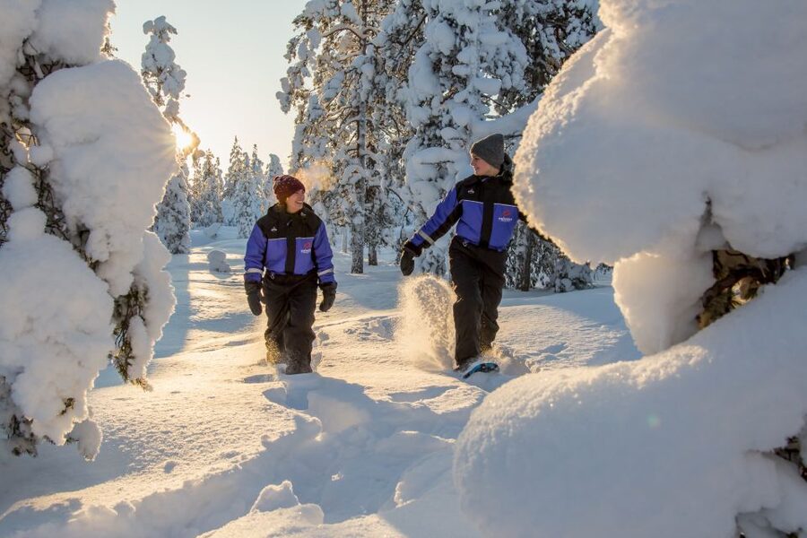 Ylläs: Forest Hike with Snowshoes - Price and value at about $101 per person