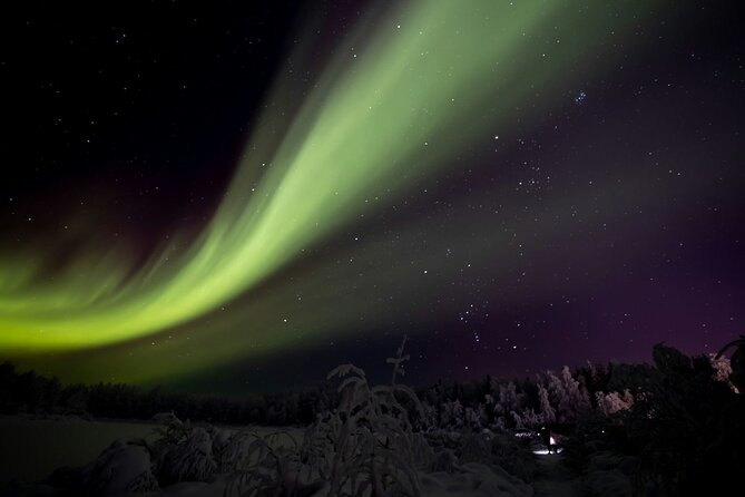 Ylläs: Guided Night Skiing Tour Under the Arctic Sky - Timing, Pickup, and Where You Meet at 7:30 pm