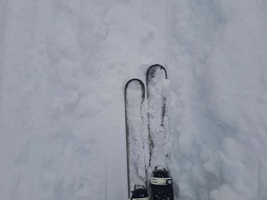 Ylläs: Guided Nordic Skiing Tour in Lapland Wilderness - Key highlights worth knowing