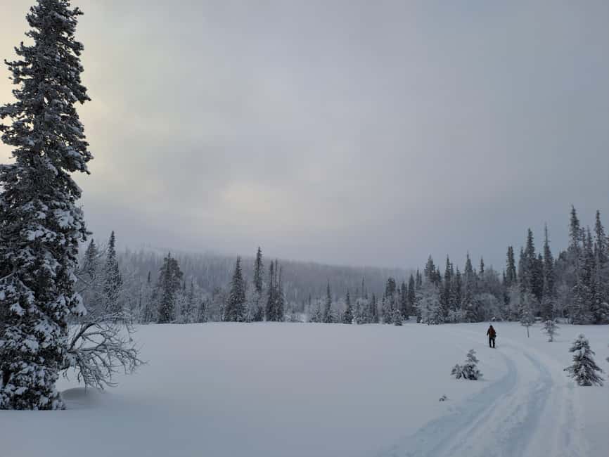 Ylläs: Guided Nordic Skiing Tour in Lapland Wilderness - Price and Value: Is $159 Worth It for 5 Hours in Lapland?
